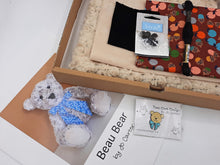 Load image into Gallery viewer, Beau Bear Kit