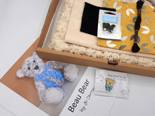 Load image into Gallery viewer, Beau Bear Kit