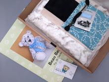 Load image into Gallery viewer, Beau Bear Kit