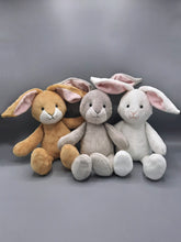 Load image into Gallery viewer, Gracie Bunny Kit