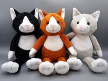 Load image into Gallery viewer, Marigold Cat Kit