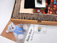 Load image into Gallery viewer, Beau Bear Kit