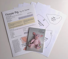 Load image into Gallery viewer, Flossie Pig Kit