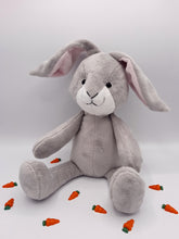 Load image into Gallery viewer, Gracie Bunny Kit