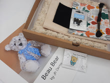 Load image into Gallery viewer, Beau Bear Kit
