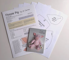 Load image into Gallery viewer, Flossie Pig Kit
